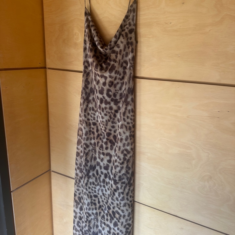 Zara Leopard Print Maxi Dress